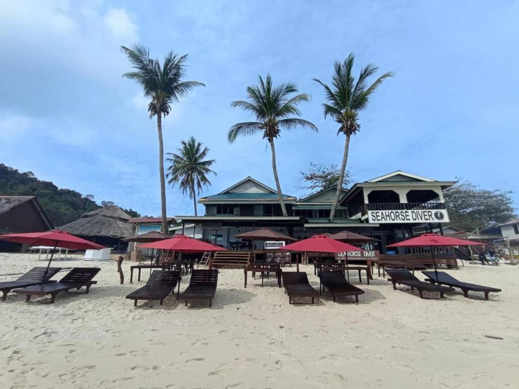 Seahorse Diver Guesthouse Kampong Pasir Panjang  المظهر الخارجي الصورة